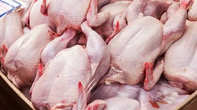 وزیر جهاد کشاورزی افزایش قیمت مرغ ناشی از نهادهای جهانی است