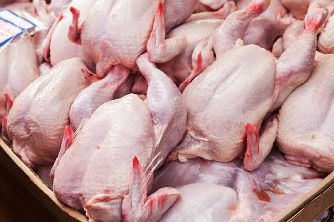 وزیر جهاد کشاورزی افزایش قیمت مرغ ناشی از نهادهای جهانی است