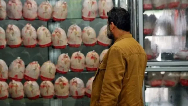 وزیر جهاد کشاورزی قیمت نهایی مرغ هنوز مشخص نشده است