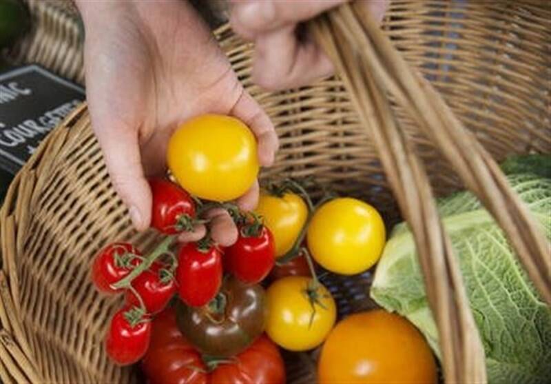 کارشناسان انگلیس برای بحران امنیت غذایی آماده نیست