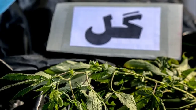 کشف یک تن ماده مخدر گل در اسدآباد
