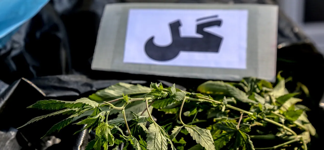کشف یک تن ماده مخدر گل در اسدآباد
