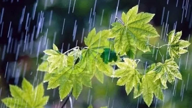 گذر امواج و احتمال وقوع رگبار تا روز دوشنبه در قزوین