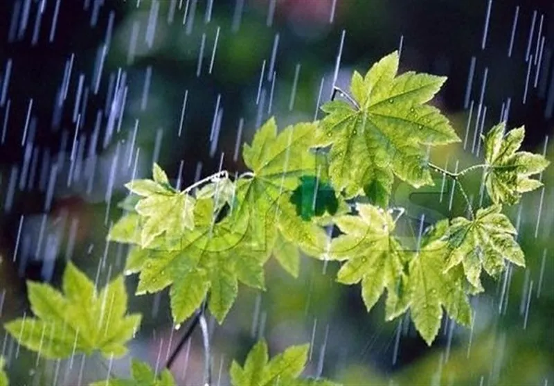 گذر امواج و احتمال وقوع رگبار تا روز دوشنبه در قزوین