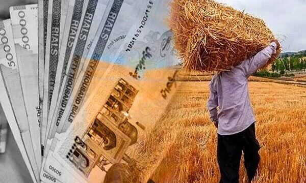گندمکاران در انتظار تصمیم نهایی قیمت خرید تضمینی گندم
