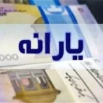 یارانه نقدی تا پایان سال بدون تأخیر پرداخت می شود