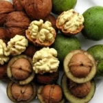 ۵ روش خشک کردن گردو سبز